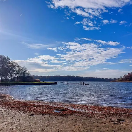 Lovely In With Wifi *